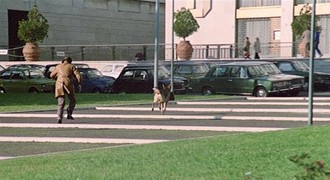 Squadra Antiscippo [1976]